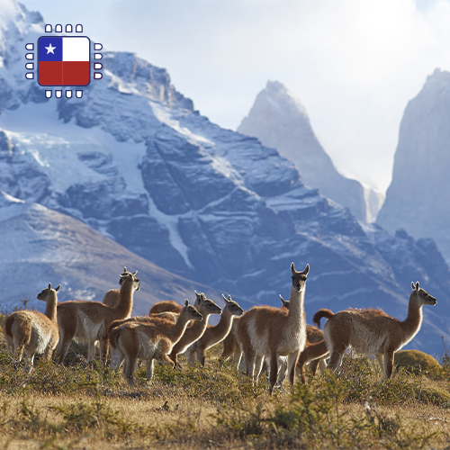 eSIM Chile Unlimited (7 days)