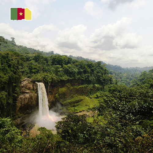 Data SIM Card Cameroon 3GB (15 days)