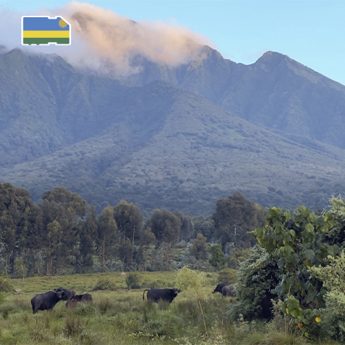 [WW_901O_STACK_ONEOFF_RWANDA_10GB_30D] eSIM Rwanda 10GB (30 days)